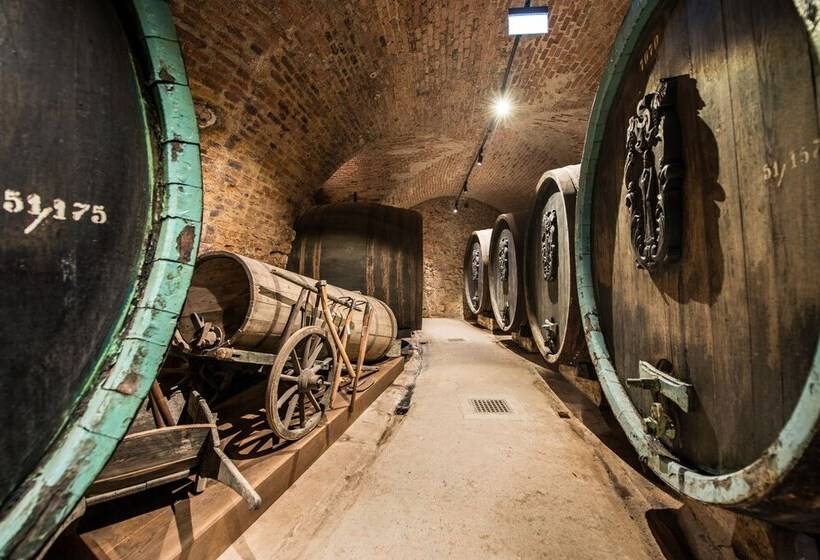 Palace Art Hotel Pezinok