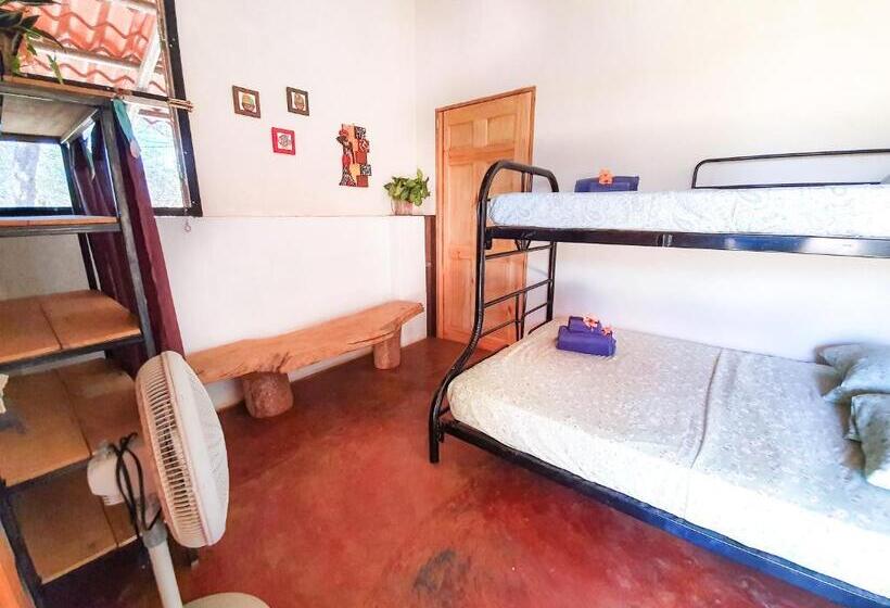 فندق صغير Casa Ital Tico, Playa Negra