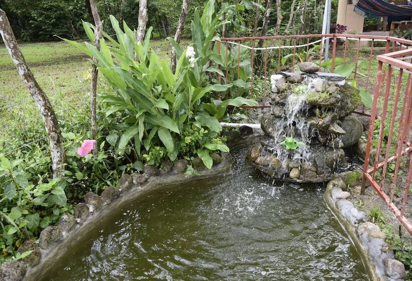 ユースホステル Hostal Lopez El Valle Cabañas