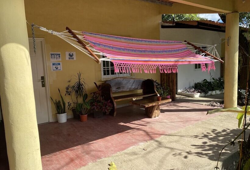 ユースホステル Hostal Lopez El Valle Cabañas