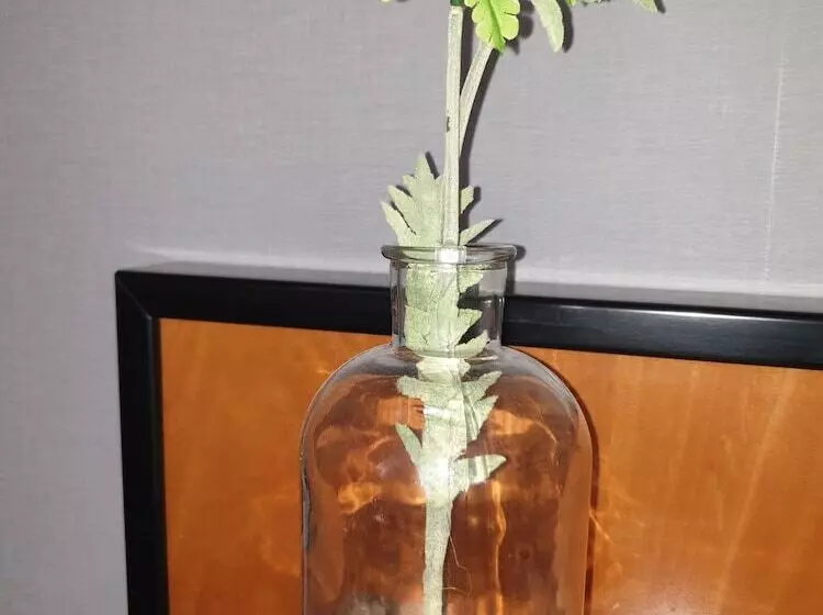 Hotelli Sonnenschein