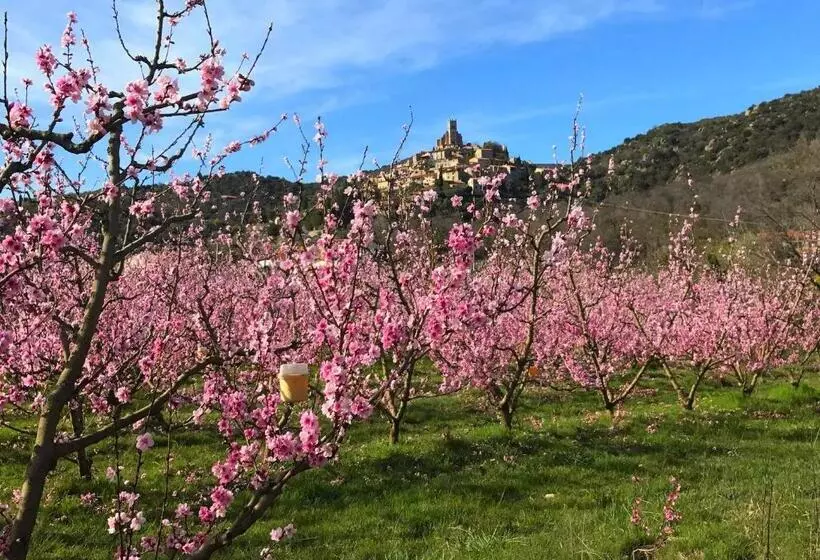 Majatalo Casa Ilicia
