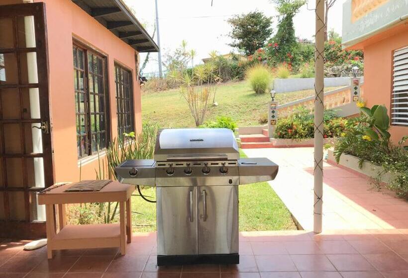 پانسیون Isla Hermosa Guesthouse