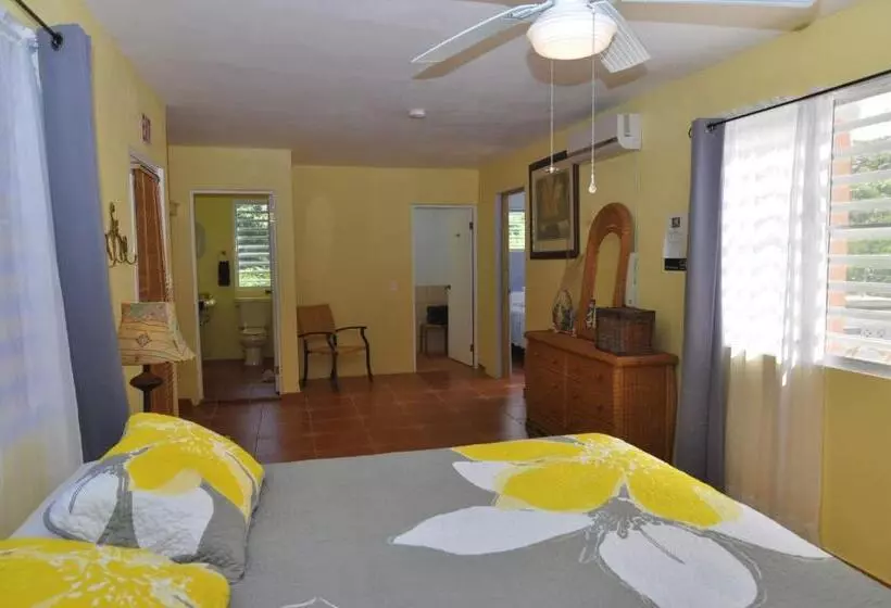 پانسیون Isla Hermosa Guesthouse