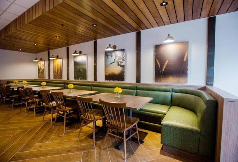 Отель Fairfield Inn & Suites By Marriott Philadelphia Broomall/newtown Square