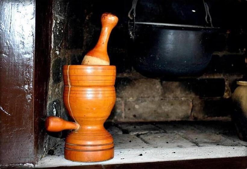 پانسیون Guest House Qedi