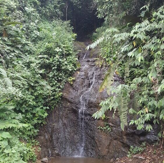 Panzió Hostal Adrimar