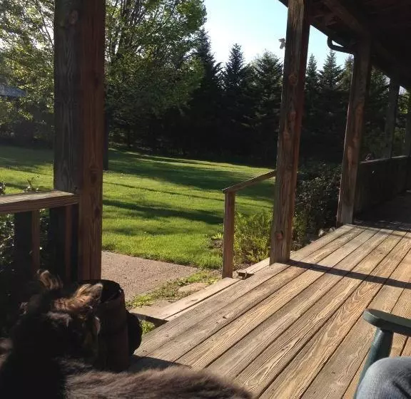 ベッドアンドブレックファースト The South Glenora Tree Farm