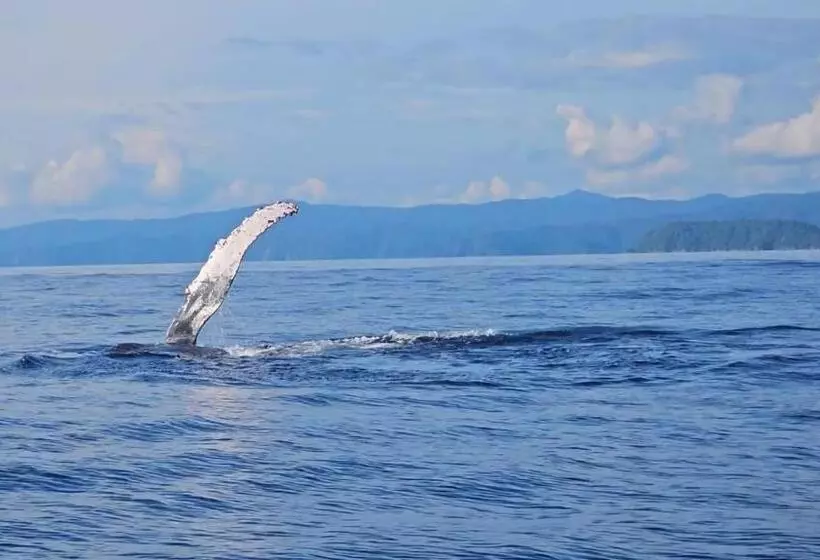 ホテル Bahía Yubarta