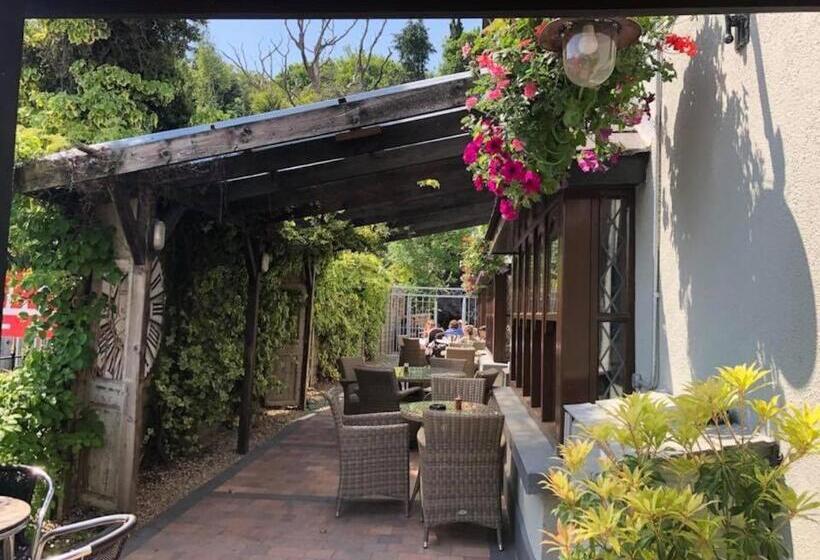 Отель Chester Beatty Inn