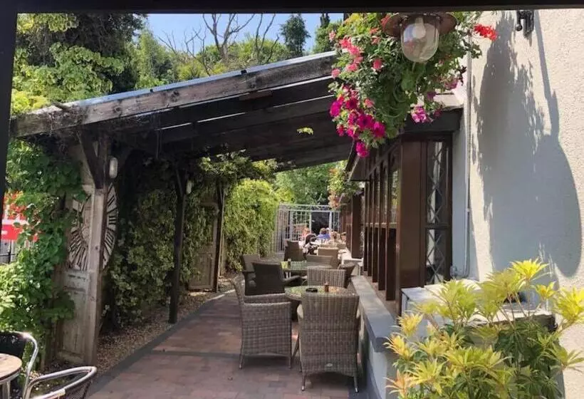 Hotelli Chester Beatty Inn