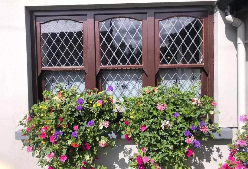 Hotelli Chester Beatty Inn