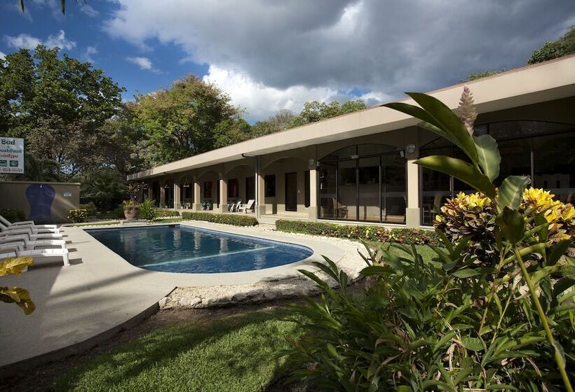 Отель Pitaya Lodge