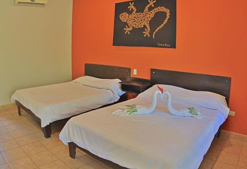 Отель Pitaya Lodge