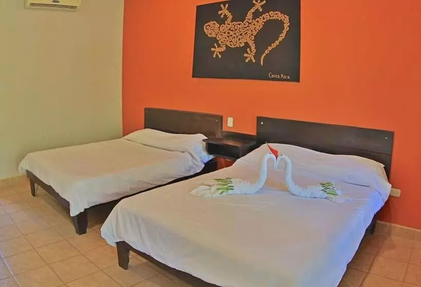 Hotelli Pitaya Lodge