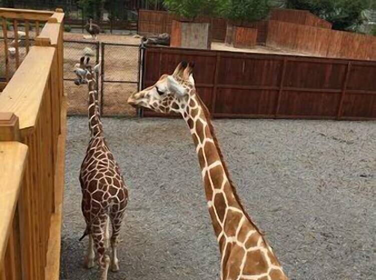 فندق على الطريق Carbone S Beachside Guest Rooms