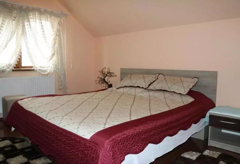 Pension Amelia House