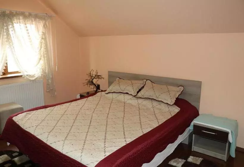 Pension Amelia House