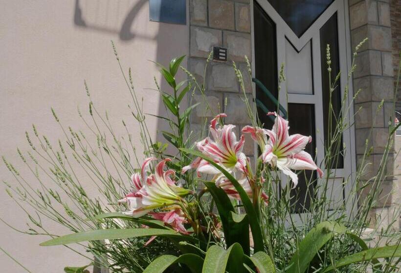 پانسیون Guest House Almond