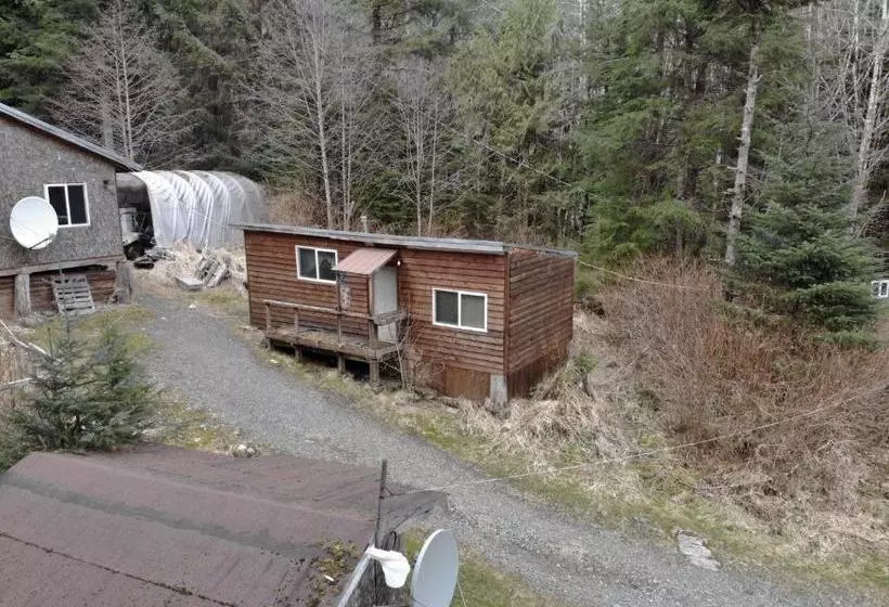 ペンション Hollis Creek Cabin