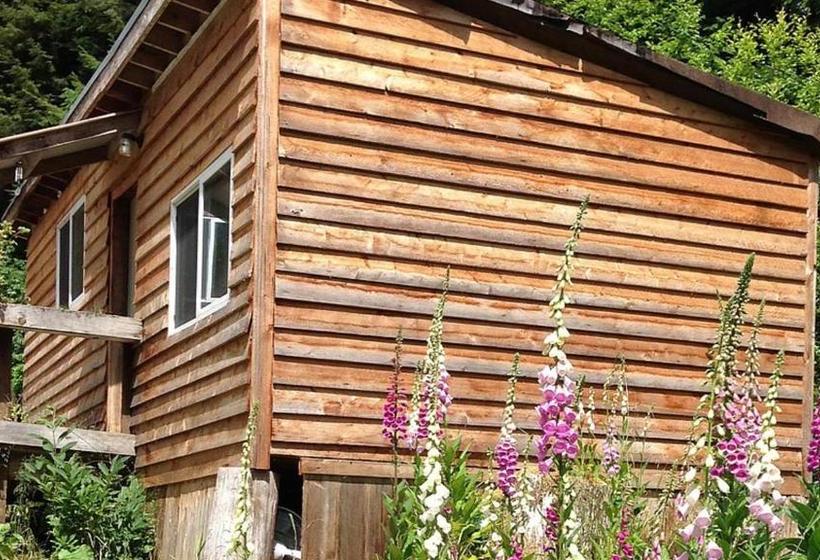 פנסיון Hollis Creek Cabin