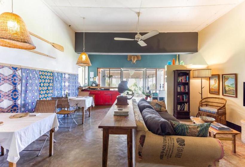 پانسیون Monkey Bay Beach Lodge