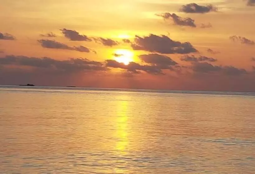 پانسیون Ocean Beach Inn   Maldives