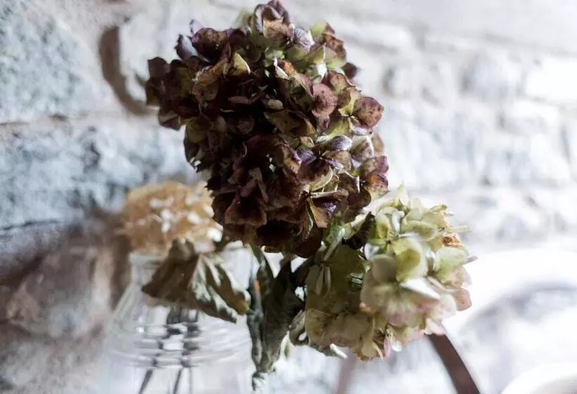 Aamiaismajoitus (B&B) Corte Della Maddalena