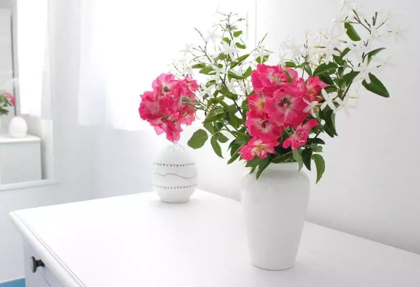 Aamiaismajoitus (B&B) Verdeblu