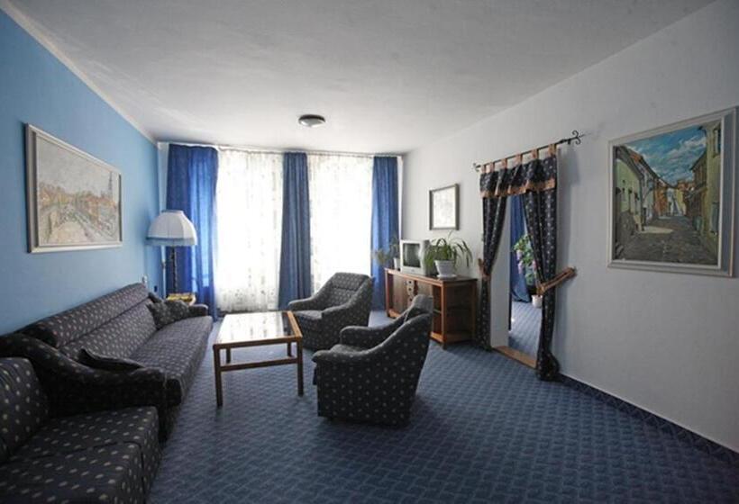 בית מלון כפרי Solaster Garni