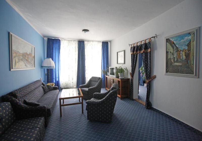 בית מלון כפרי Solaster Garni