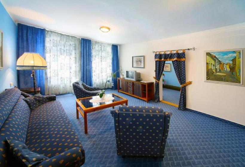 בית מלון כפרי Solaster Garni