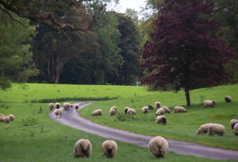 בית מלון כפרי Temple House