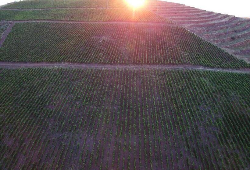 호텔 Villa Estet Bağ