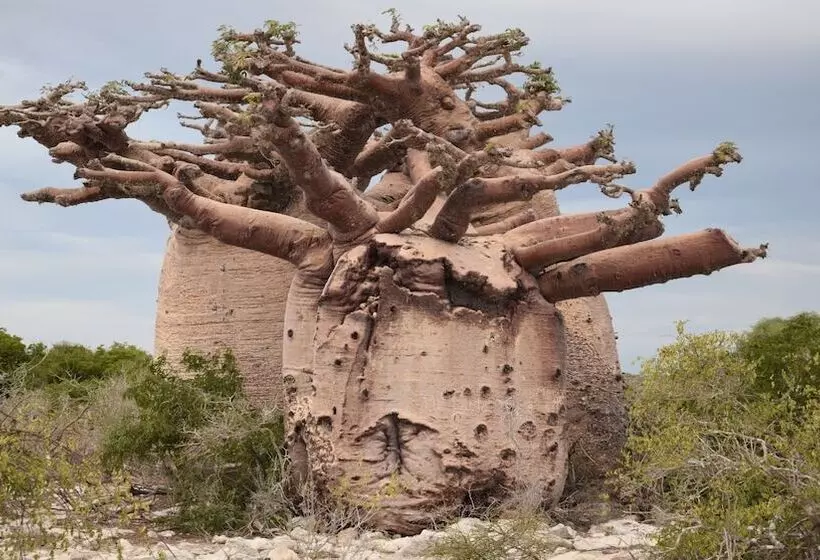 Laguna Blu   Resort Madagascar