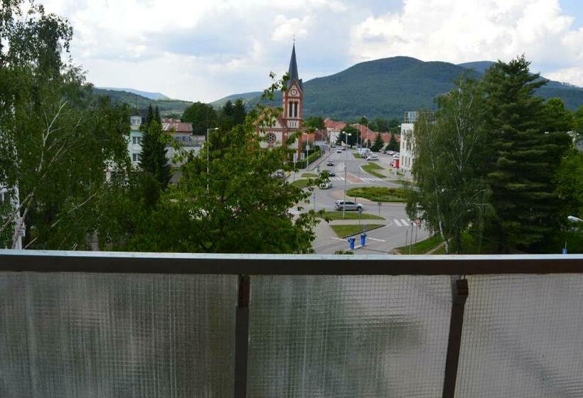 بنسيون Biznis Centrum / Ubytovna