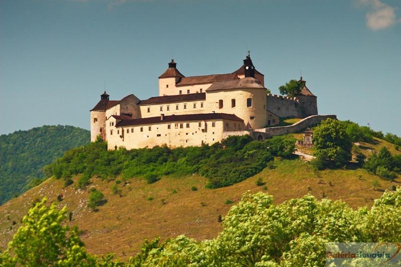 بنسيون Penzión Contesa