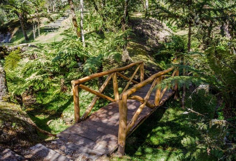 ペンション Pousada Lua De Pedra