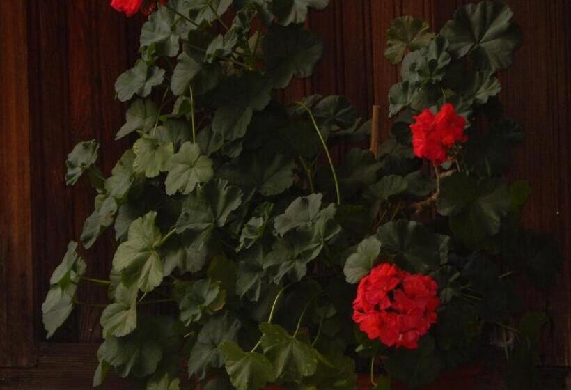 پانسیون Savanna House Jvari