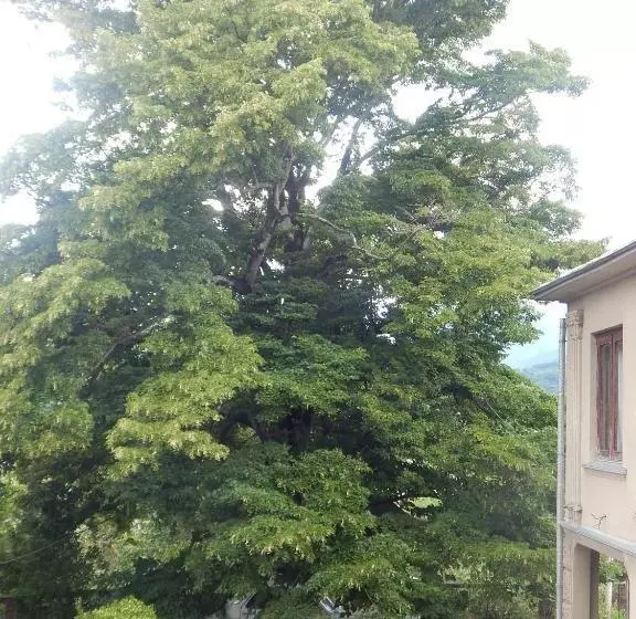 پانسیون Savanna House Jvari