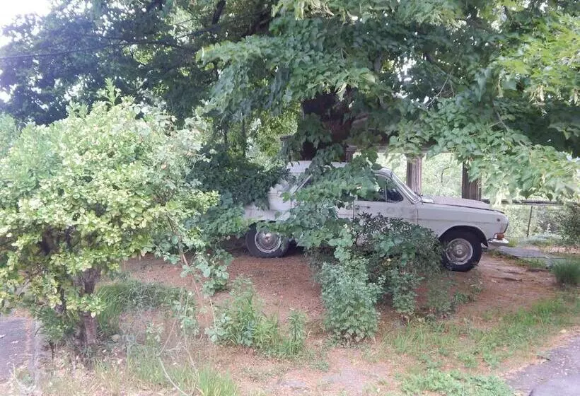 پانسیون Savanna House Jvari