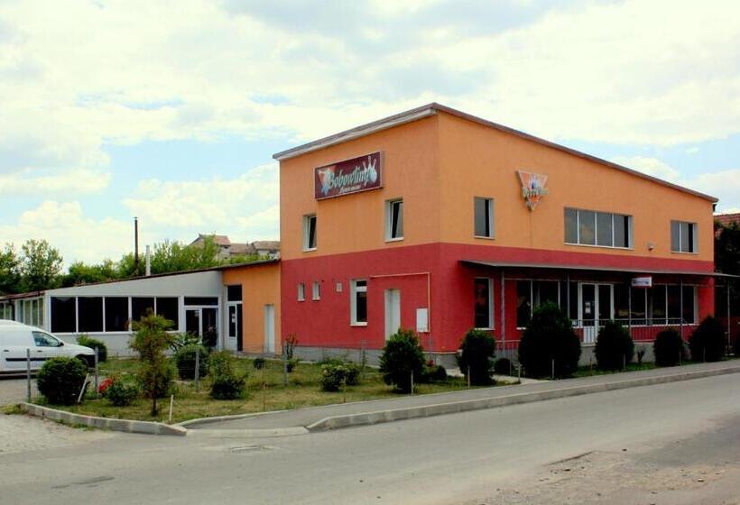 Pensiunea Bobo Panzio