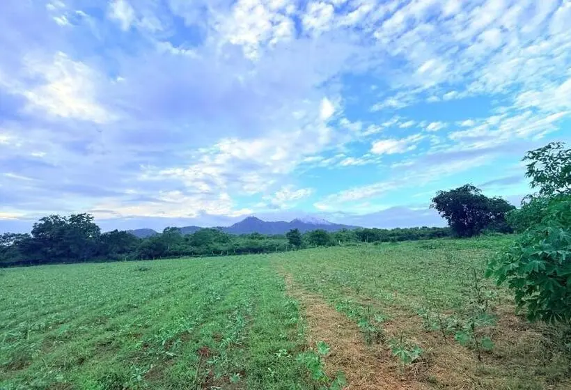 ペンション The Yala Vista