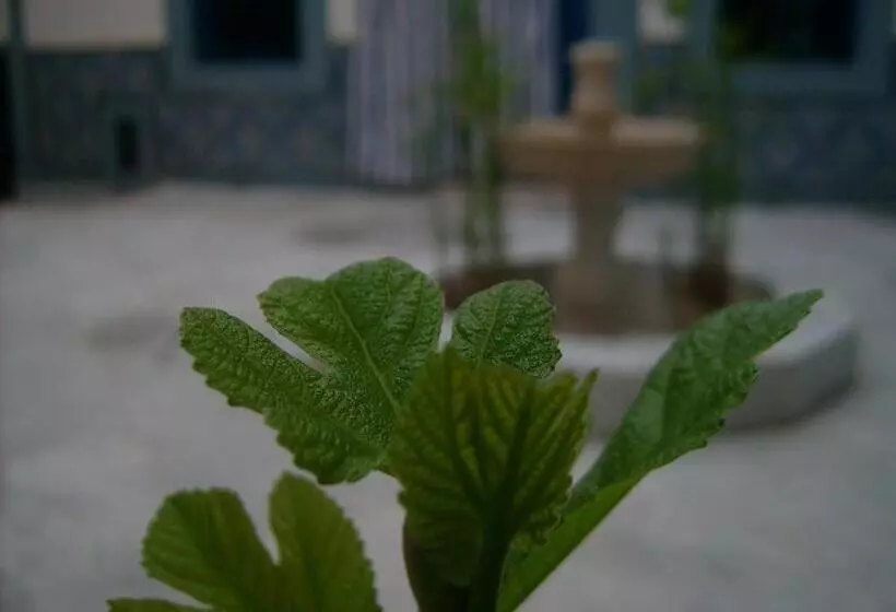 تختخواب و صبحانه Dar Baaziz