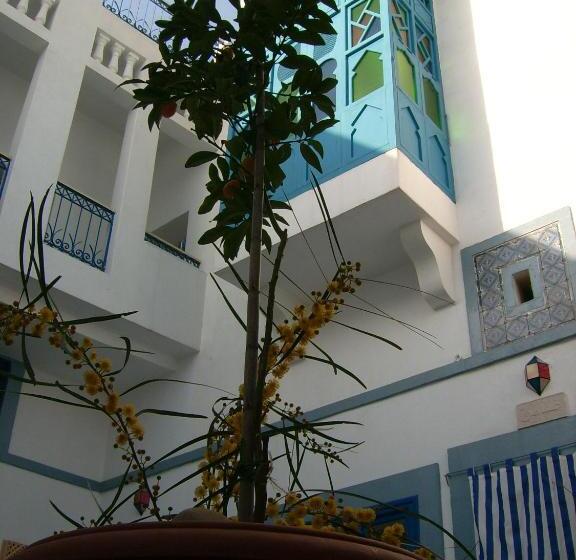 Bed and Breakfast Dar Baaziz