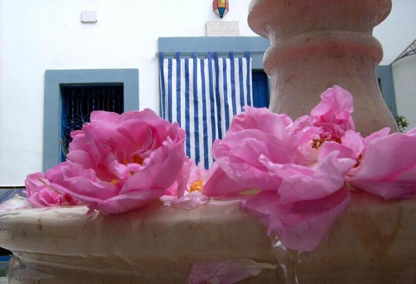 Bed and Breakfast Dar Baaziz