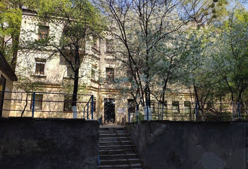 هاستل Friends Forever