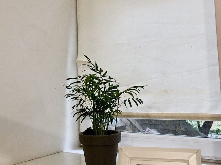 هاستل Friends Forever