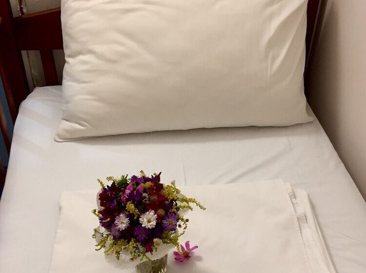 هاستل Friends Forever