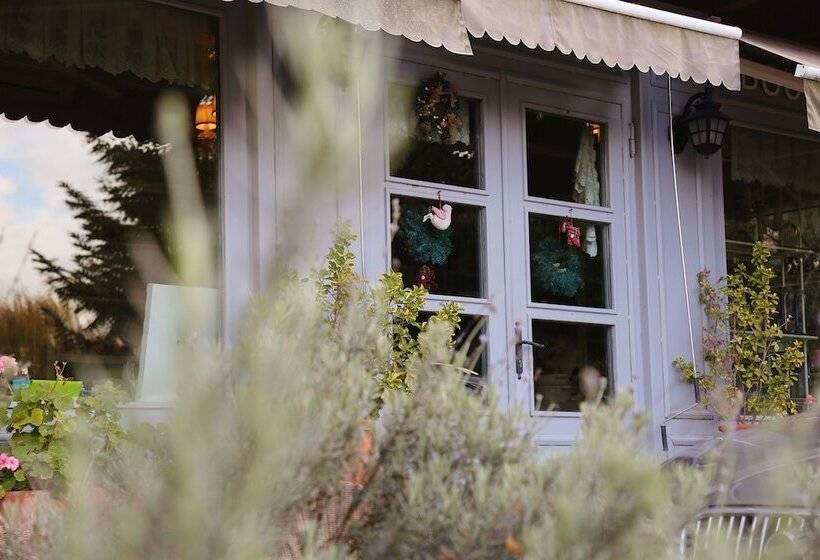 فندق Casa Lavanda Boutique